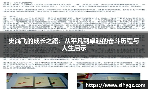 史鸿飞的成长之路：从平凡到卓越的奋斗历程与人生启示