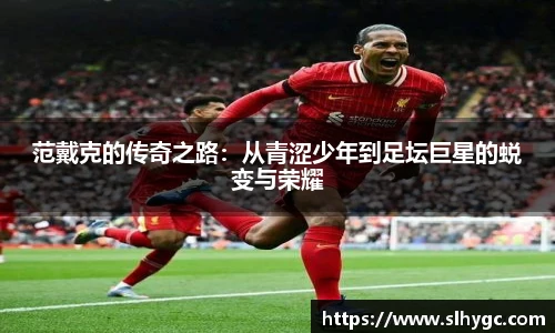 范戴克的传奇之路：从青涩少年到足坛巨星的蜕变与荣耀